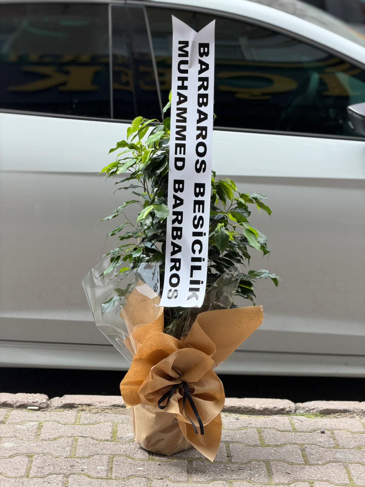 whatsapp-image-2026-04-30-at-19-10-54-2-jpeg